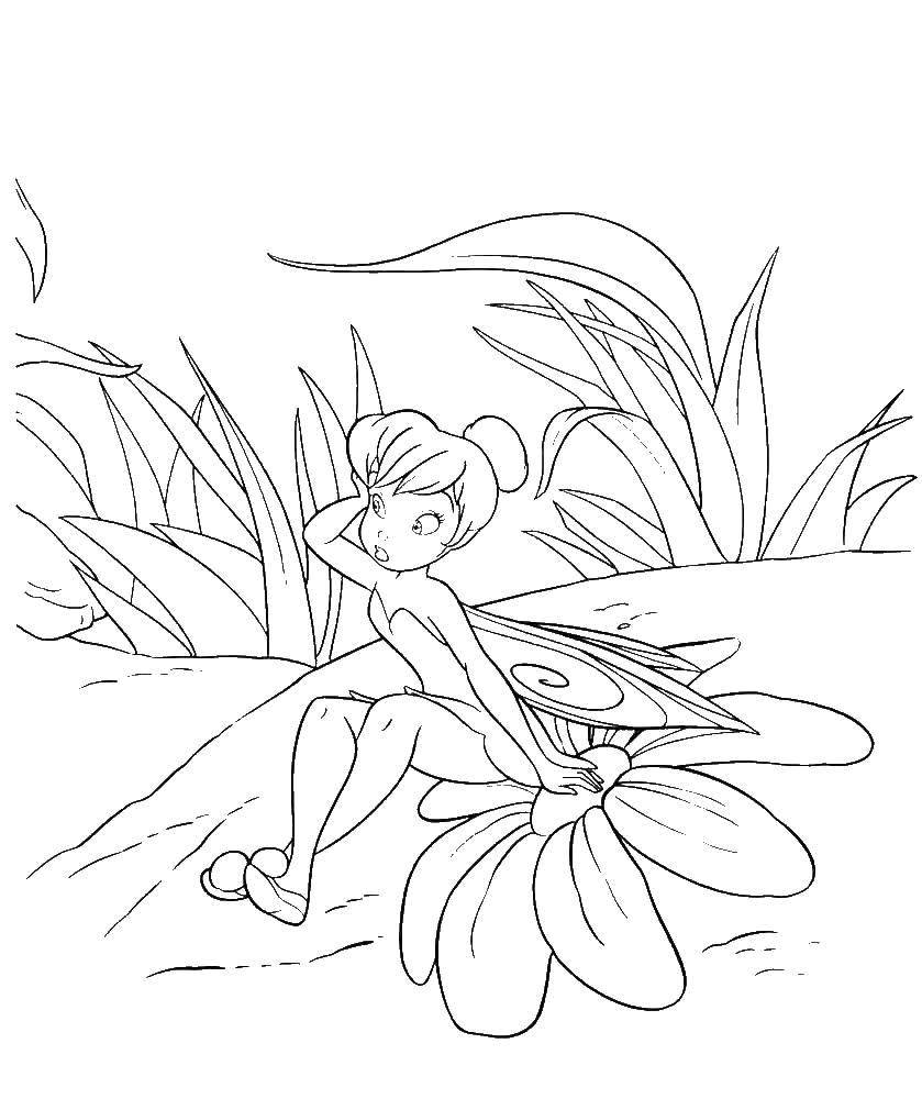 Раскраски с фея по зарубежным мультикам для девочек  Фея динь-динь из диснеевского мультфильма  феи 