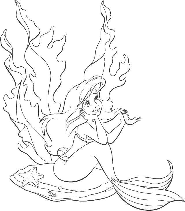Раскраски по мультфильму русалочка для девочек  Ариэль сидит на  раковине