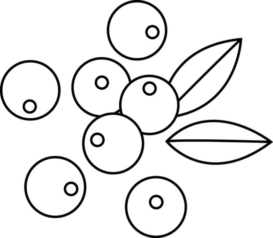 Раскраски ягоды малина вишня арбуз вишня крыжовник  Рисунок ягоды