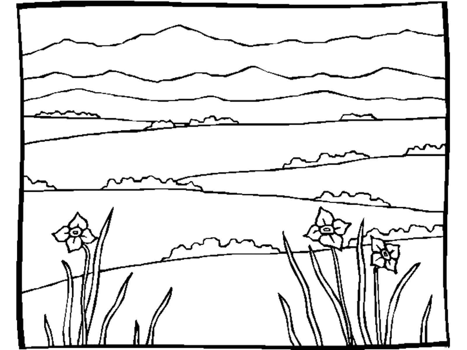  Горные поляны цветов Расцветшие нарциссы в горной поляне.