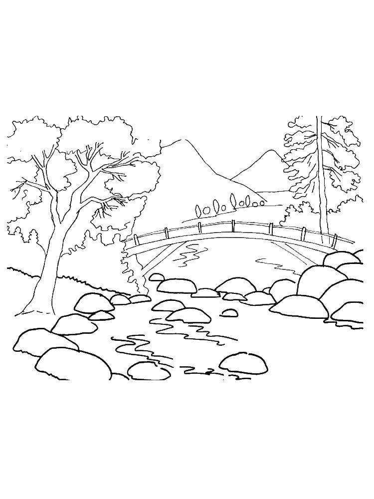  Мостик в лесу Деревянный мост через реку