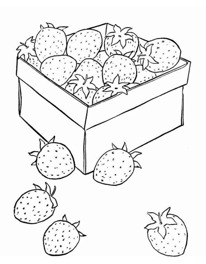 Раскраски ягоды малина вишня арбуз вишня крыжовник  Клубника