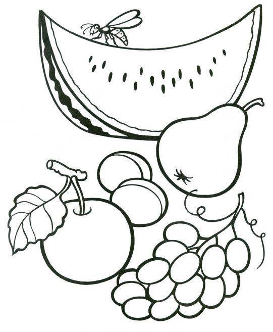 раскраски фрукты яблоки бананы груши персики виноград  Фрукты и ягоды. арбуз груша яблоко абрикосы и виноград