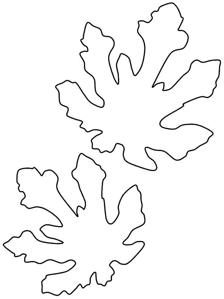 Раскраски контуры для вырезания листья детям  Листья