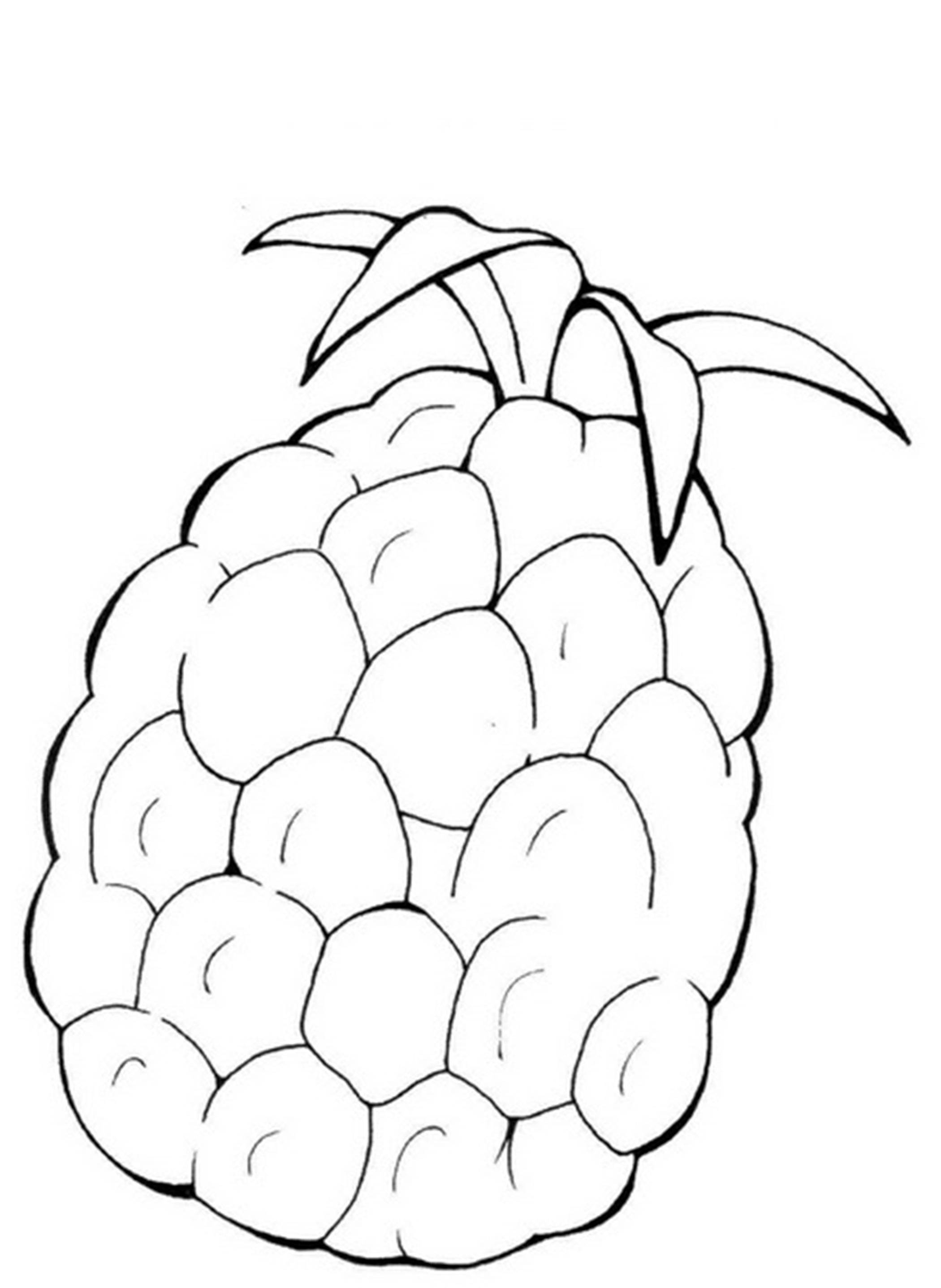 раскраски фрукты яблоки бананы груши персики виноград  Ананас