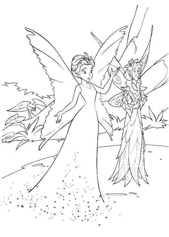 Раскраски с фея по зарубежным мультикам для девочек  Королева феи