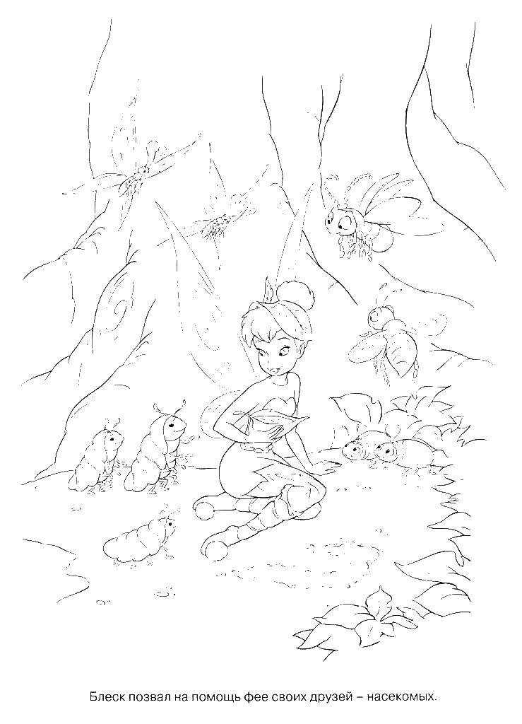 Раскраски с фея по зарубежным мультикам для девочек  Фея динь динь  и насекосые