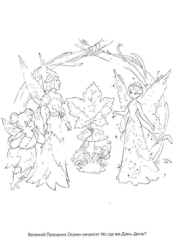 Раскраски с фея по зарубежным мультикам для девочек  Королева клэрион