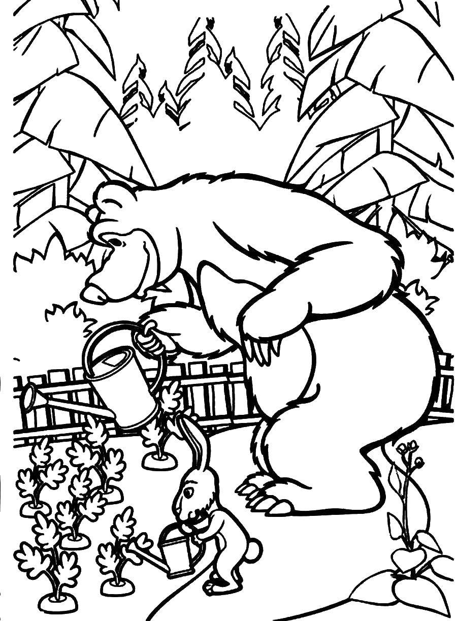 Раскраски для детей про озорную Машу из мультфильма Маша и медведь  Медведь в огороде