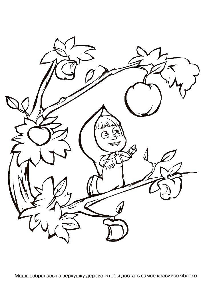 Раскраски для детей про озорную Машу из мультфильма Маша и медведь  Маша на дереве с яблоками