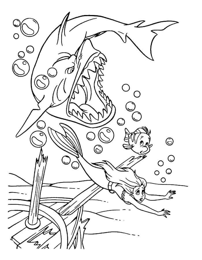 Раскраски по мультфильму русалочка для девочек  Ариэль и рыбка флаундер убегают от акулы