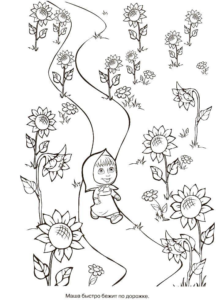 Раскраски для детей про озорную Машу из мультфильма Маша и медведь  Маша идет по поляне