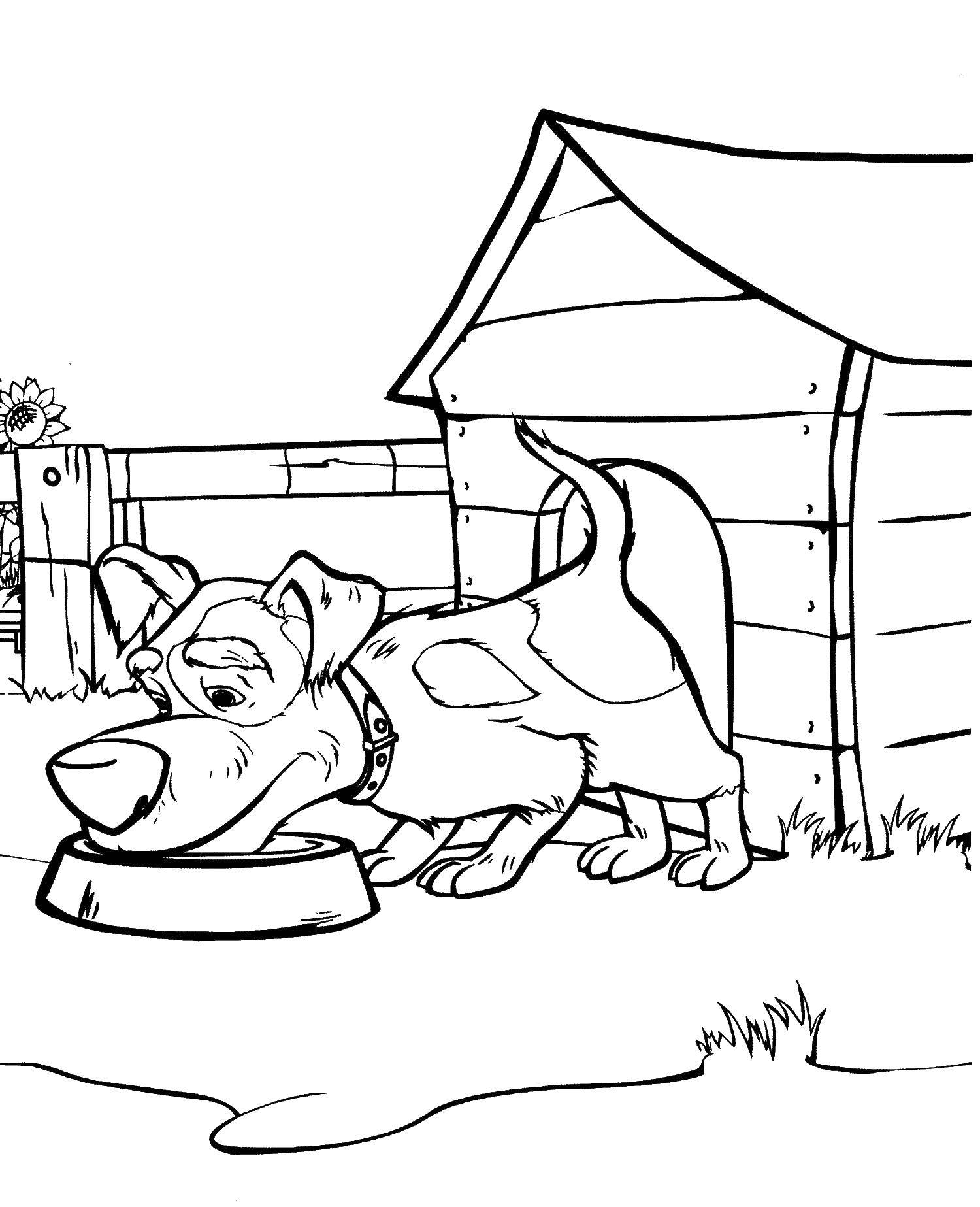 Раскраски для детей про озорную Машу из мультфильма Маша и медведь  Собака кушает