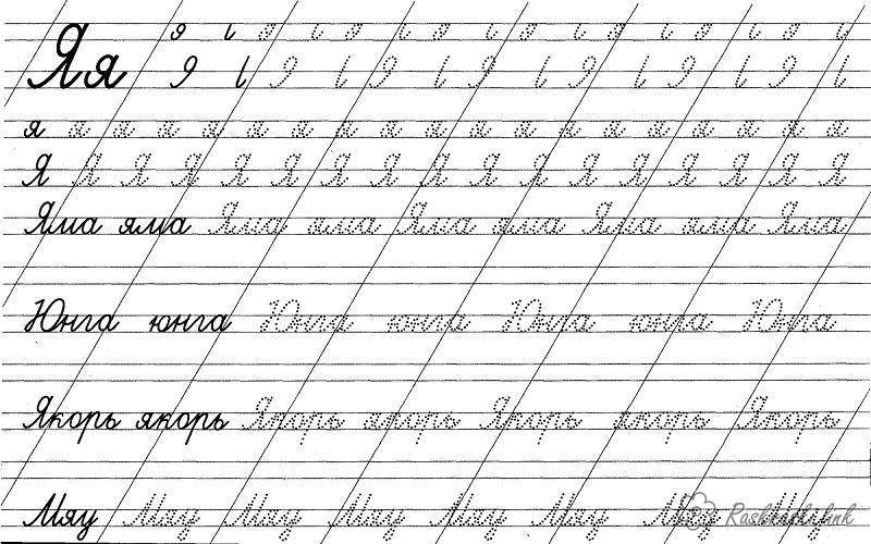 русский язык прописи  Учимся прописным буквам