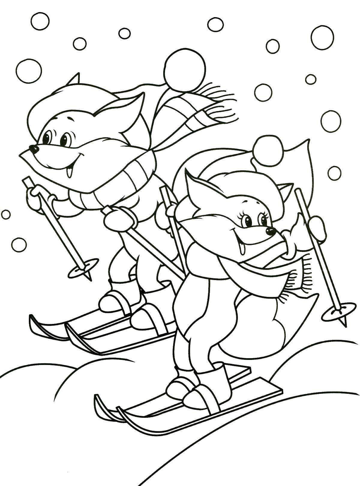 Раскраски зима время года  Лисы катаются на лыжах