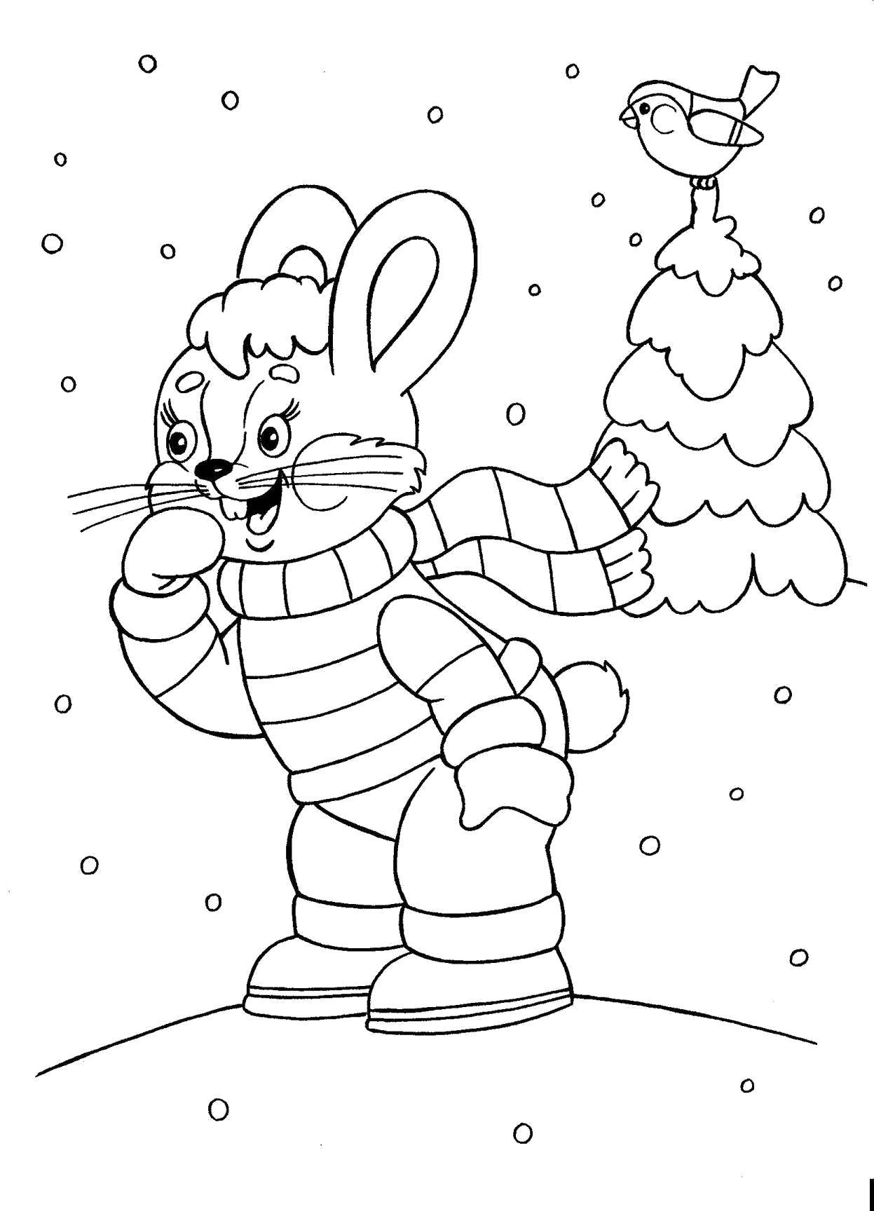 Раскраски для детей Зима, зимушка раскраски для школьников  Зайчик зимой