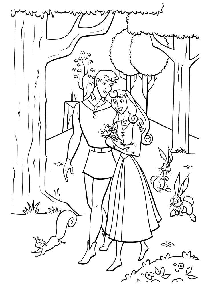 Раскраски по мультфильму Диснея Спящая красавица для детей  Аврора и филлип гуляют по лесу