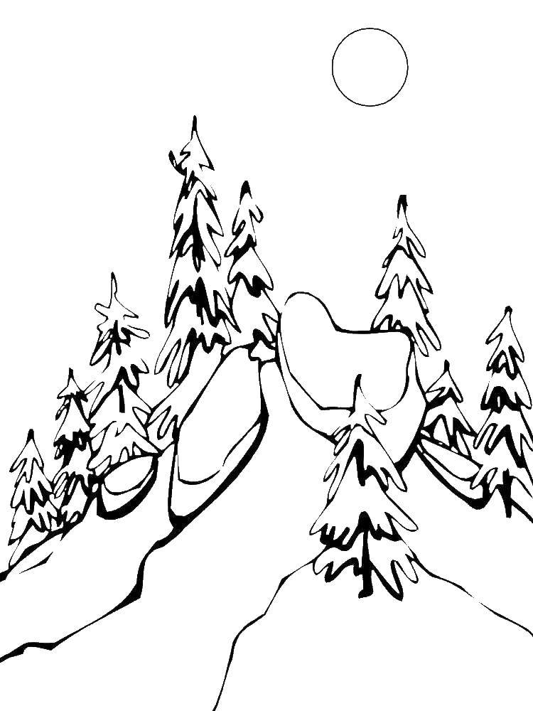  Лес зимой Елки растущие на горе