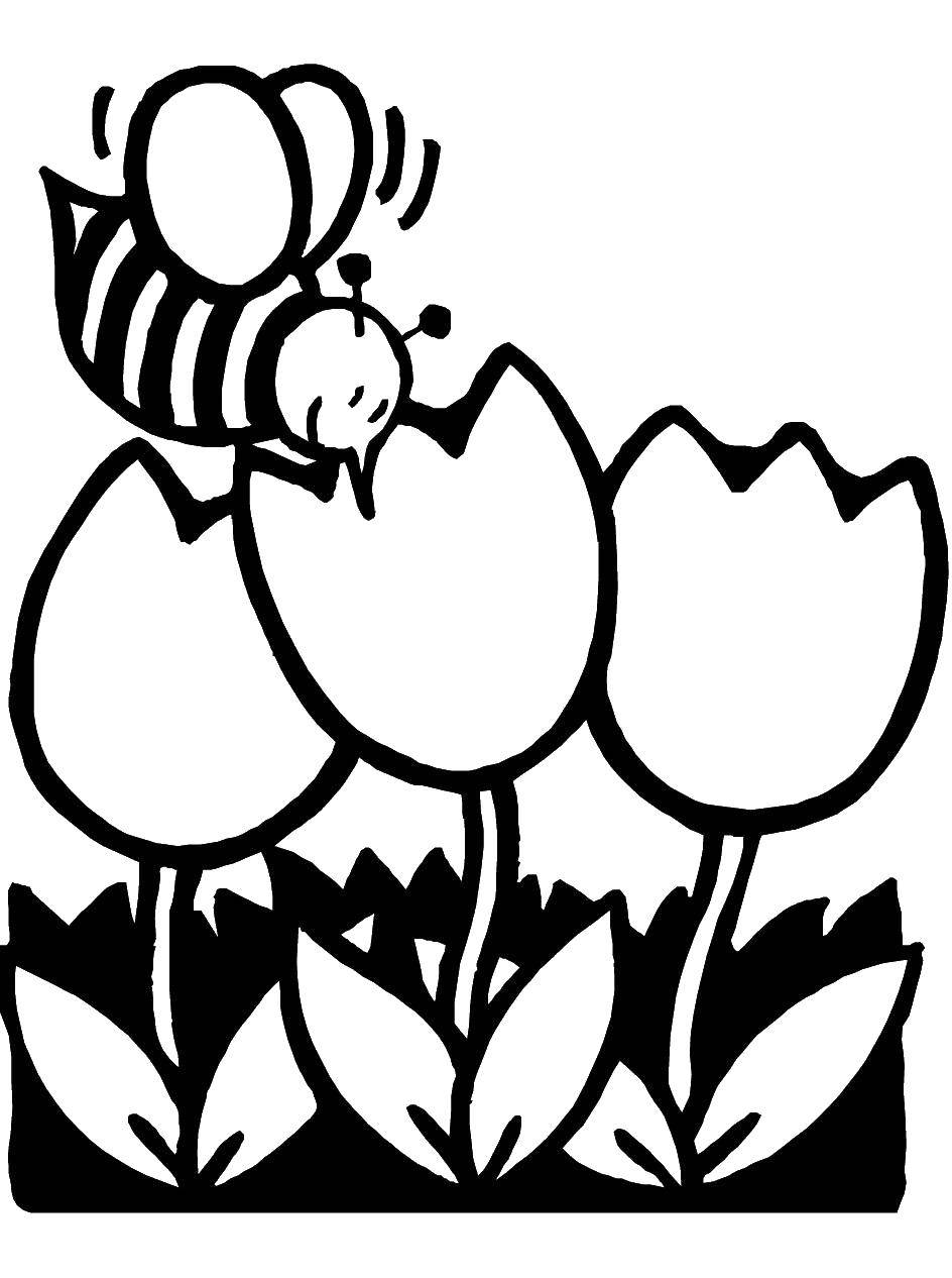 Раскраски весна для детей  Пчелка собирает нектар