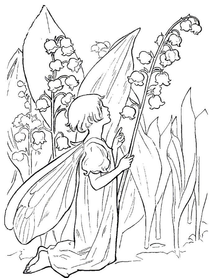 Раскраски с фея по зарубежным мультфильмам для детей  Фея цветов