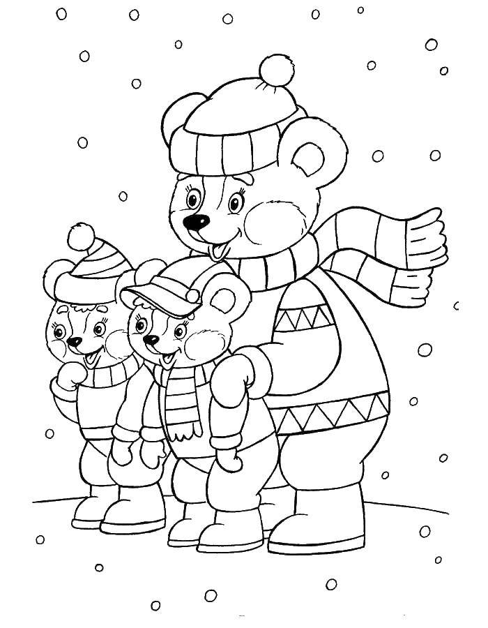 Раскраски для детей Зима, зимушка раскраски для школьников  Мишки в зимнем лесу