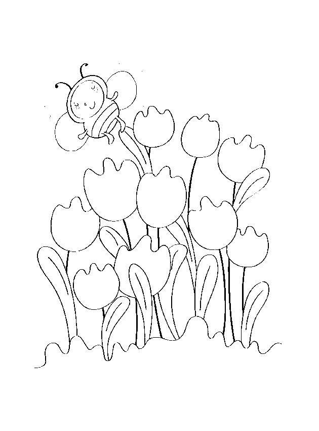 Раскраски весна для детей  Пчела летит