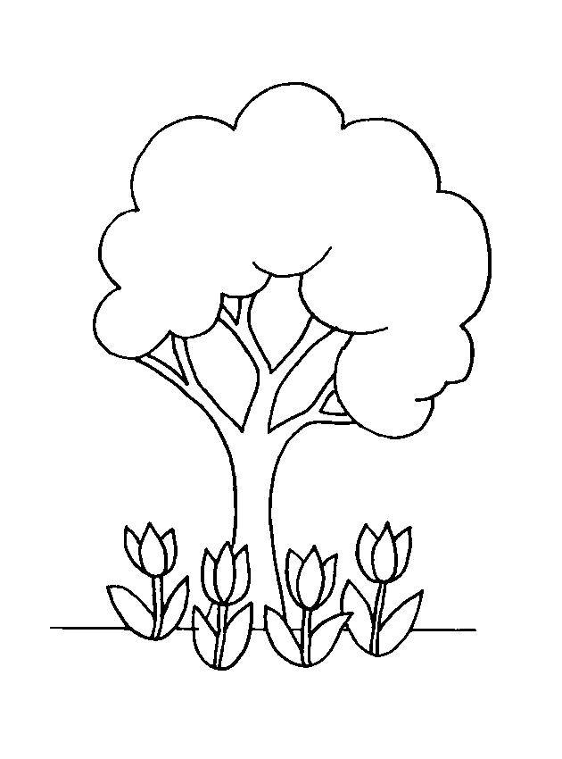 Раскраски весна для детей  Дерево