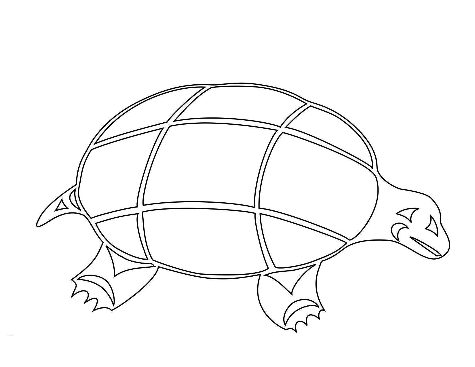  Черепаха