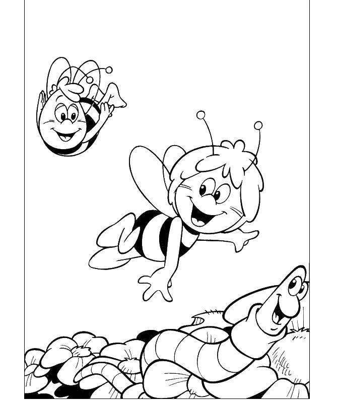 Раскраски с пчелкой Майя для малышей  Пчёлка майя