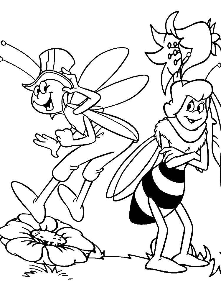 Раскраски с пчелкой Майя для малышей  Персонажи из мультфильма пчёлка майя