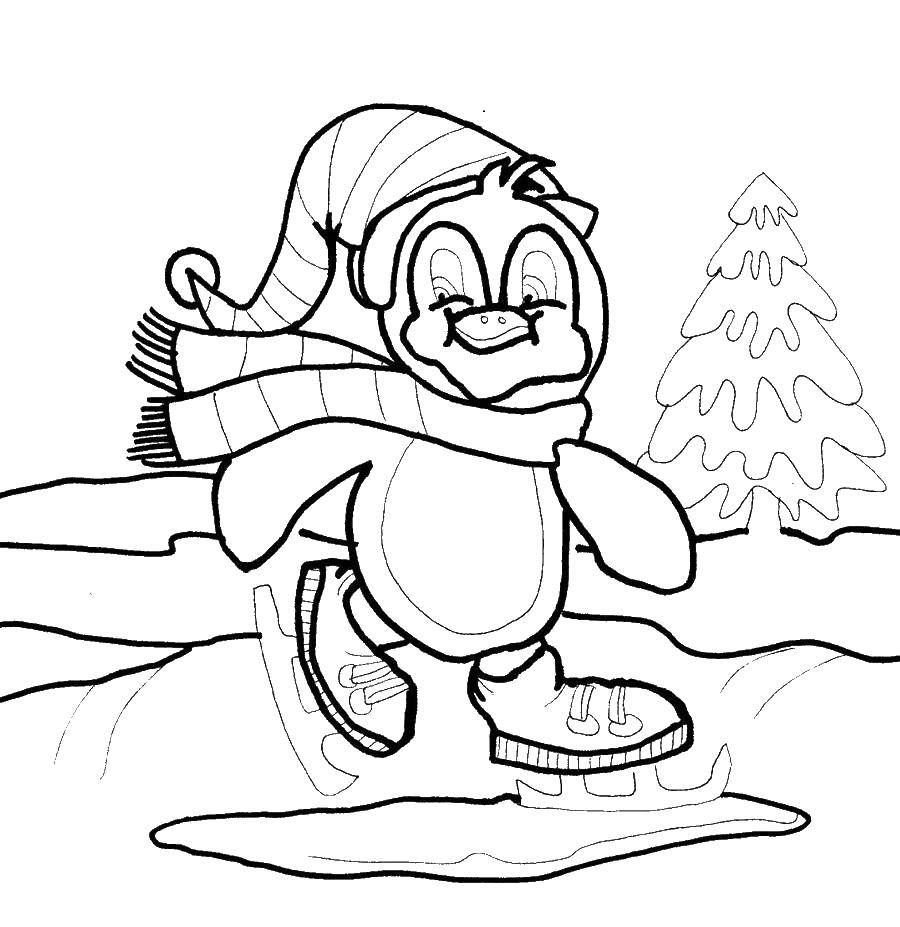 Раскраски для детей Зима, зимушка раскраски для школьников  Пингвин на коньках