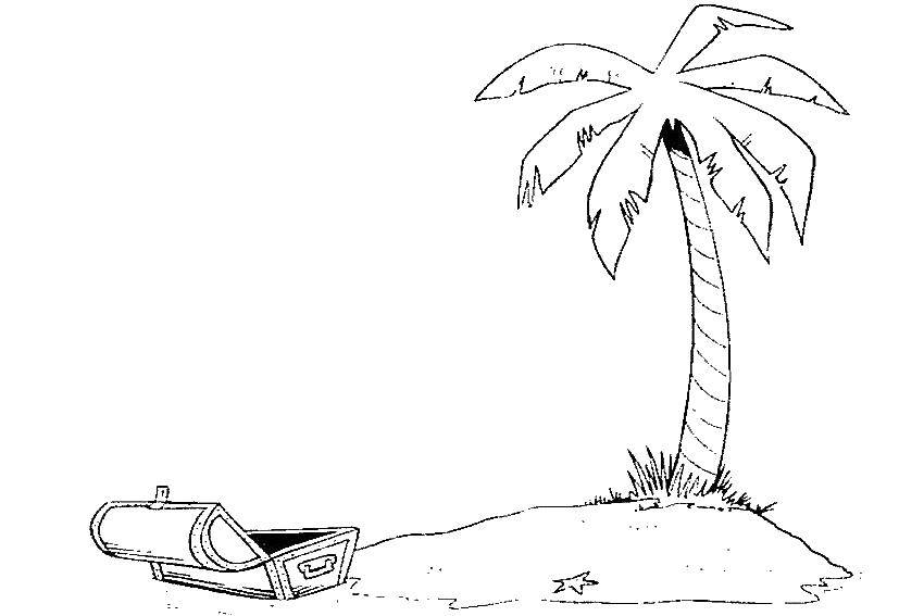  Пальма на острове