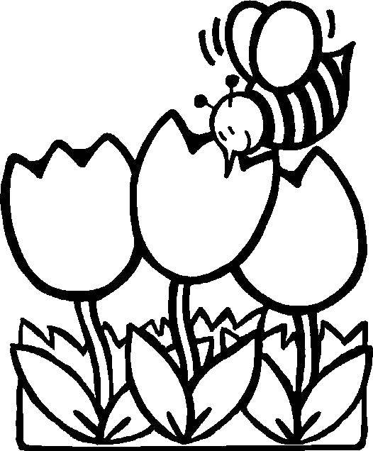 Раскраски весна для детей  Пчелка над тюльпанами