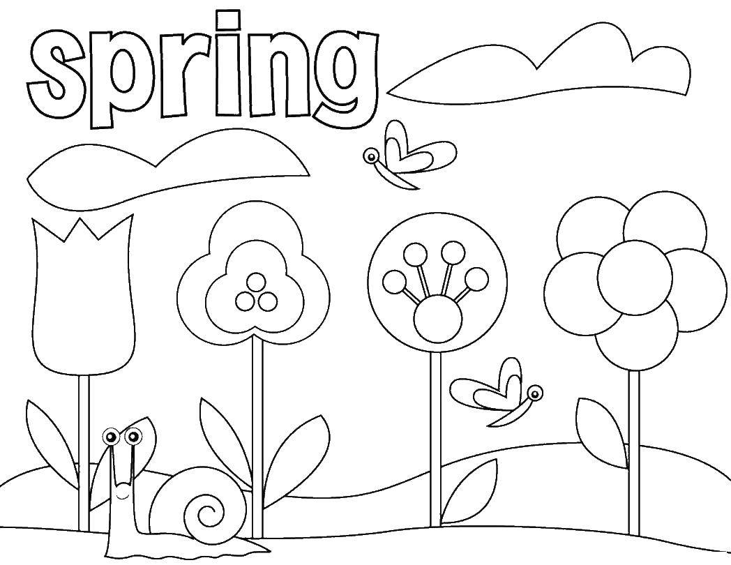 Раскраски весна для детей  Весна цветы и бабочки
