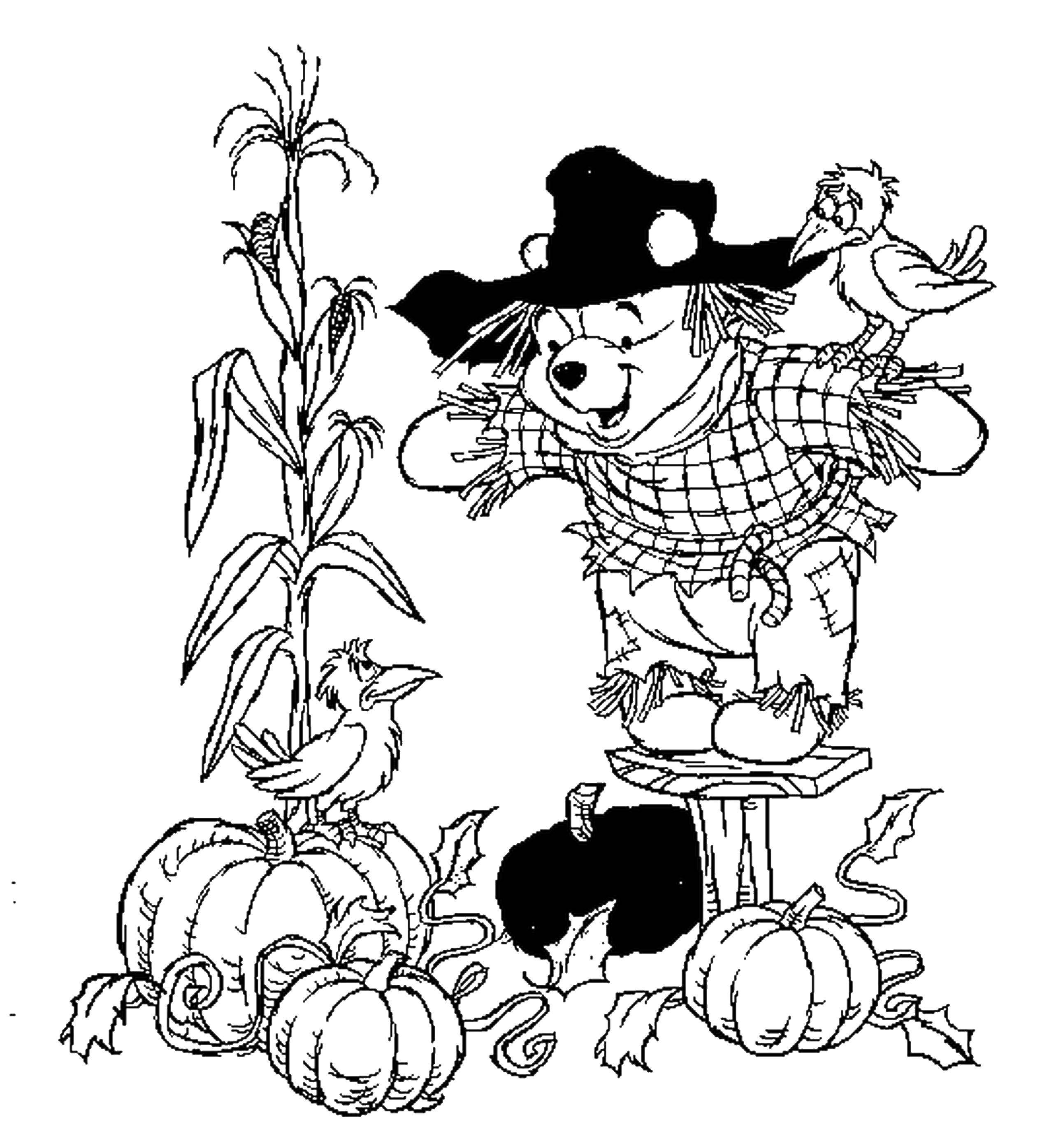 Раскраски из зарубежного мультфильма про Винни Пуха и его друзей для самых маленьких   Винни пух в костюме пугала охраняет огород