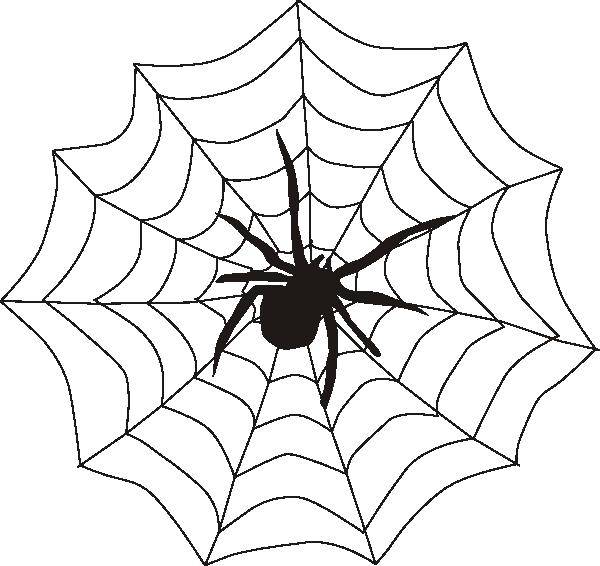 Раскраски пауки паук паучки  Паук на паутине