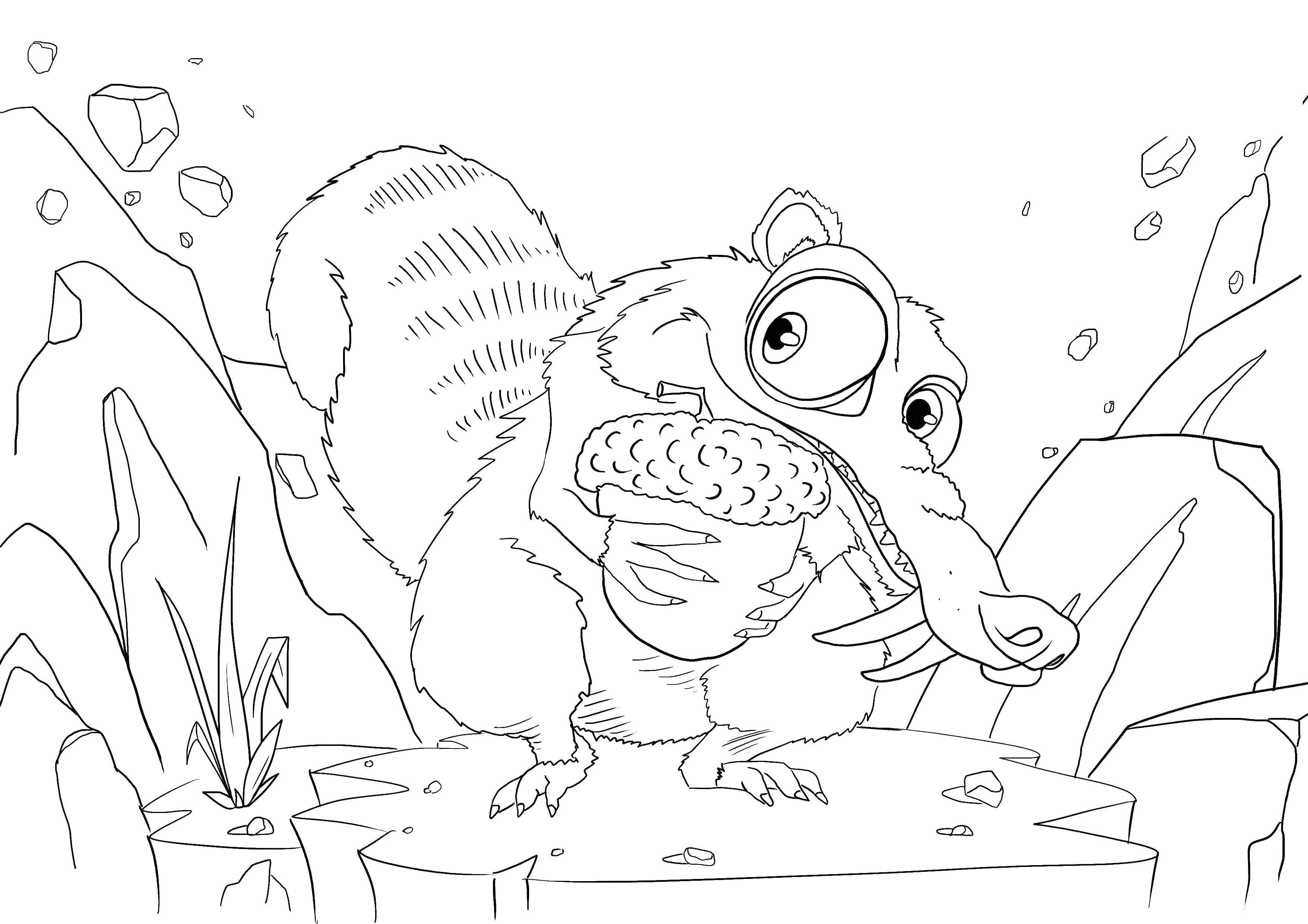 Красивые и веселые раскраски по мультфильму Ледниковый период  Белка нашла орех