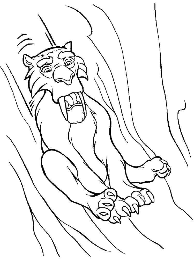 Красивые и веселые раскраски по мультфильму Ледниковый период  Саблезубый тигр диего
