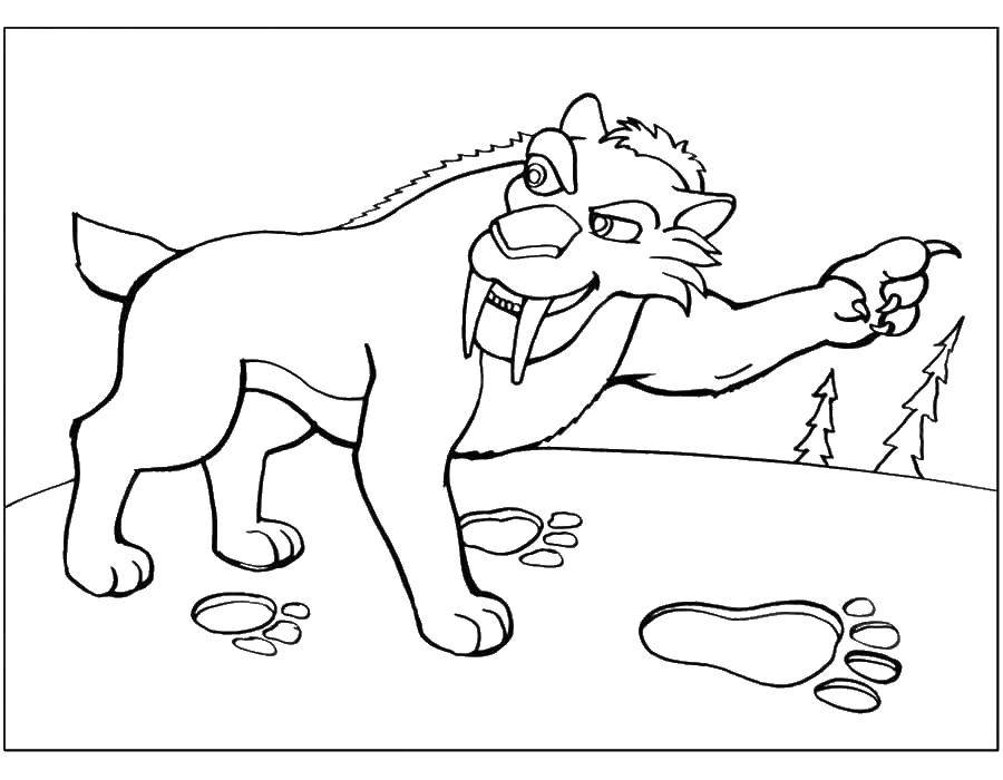 Красивые и веселые раскраски по мультфильму Ледниковый период  Саблезубый тигр