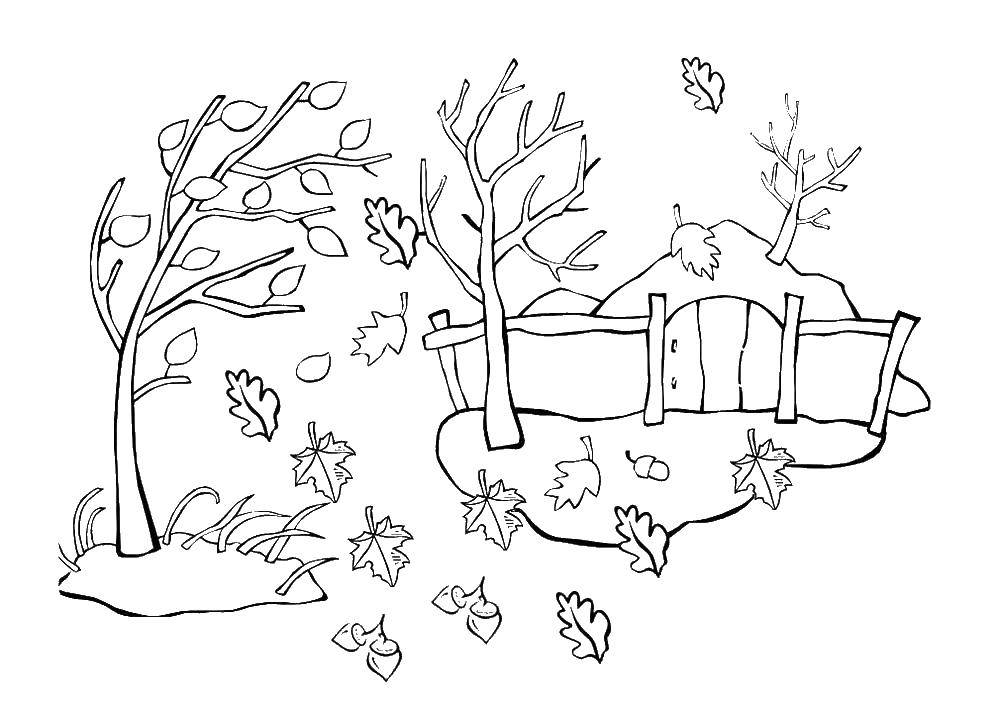 Раскраски осень для малышей, раскраски для детей, раскраски для школьников и подростков  Ветер сдувает листья
