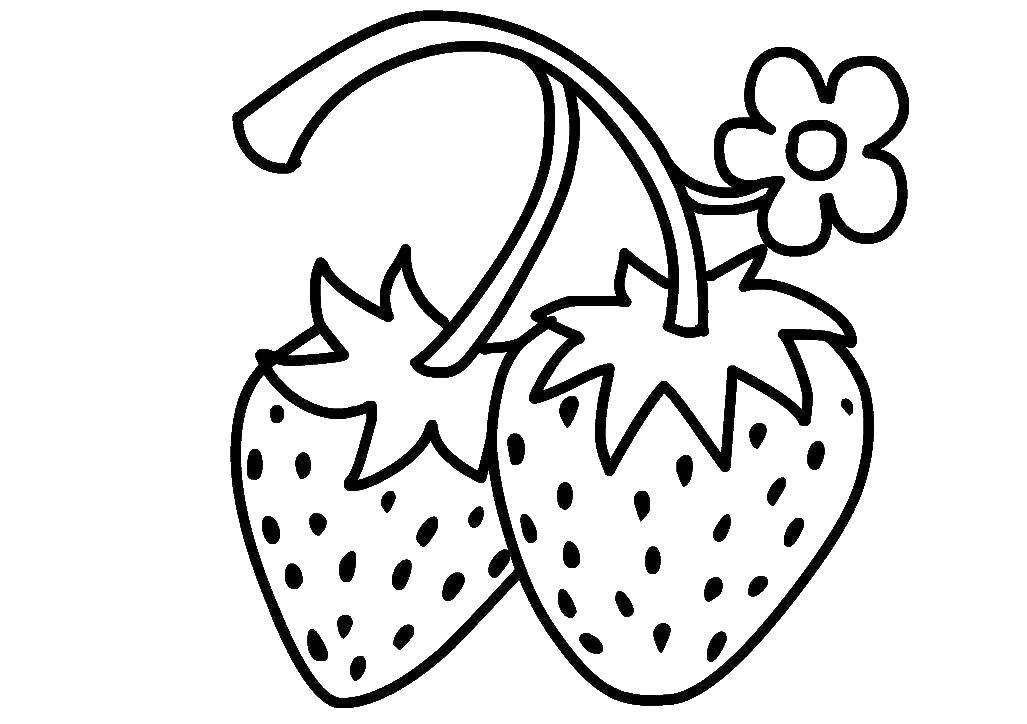 Раскраски ягоды малина вишня арбуз вишня крыжовник  Клубнички