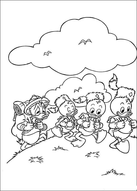 Раскраски из диснеевского мультфильма Утиные истории для самых маленьких  Дональд дак с племянниками идут в поход