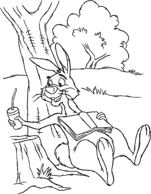 Раскраски из диснеевского мультфильма Утиные истории для самых маленьких  Заяц