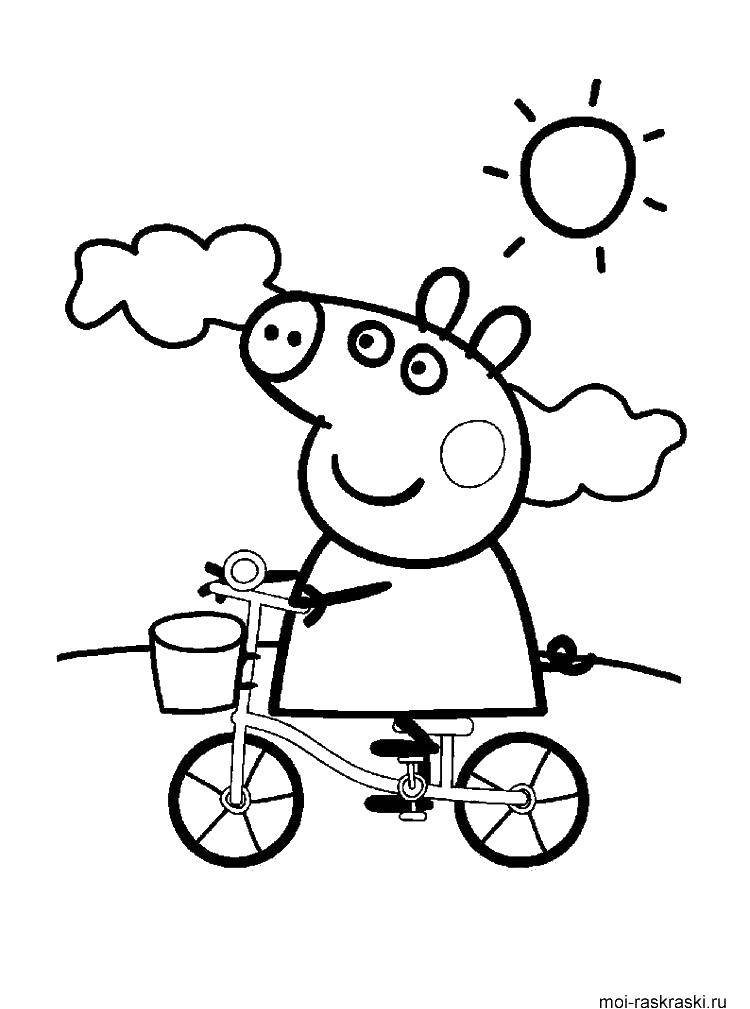 Познавательные и забавные раскраски для детей про свинку Пеппу  Свинка пеппа катается на велосипеде