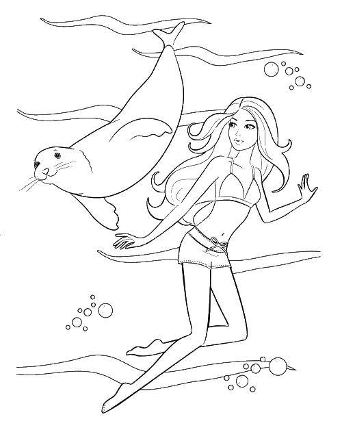 Раскраски с барби по серии мультфильмов  для девочек  Тюлень