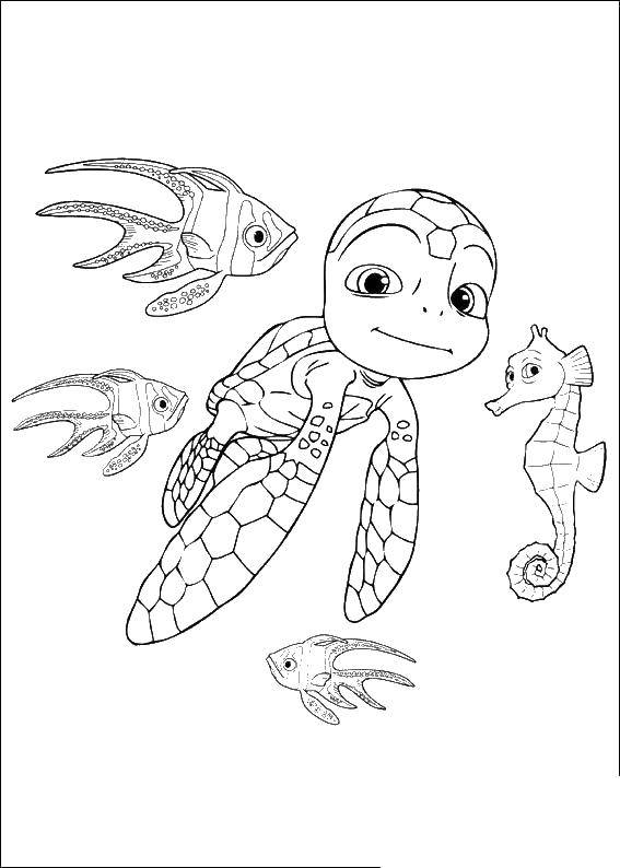 Раскраски Черепаха черепашка  Морской мир