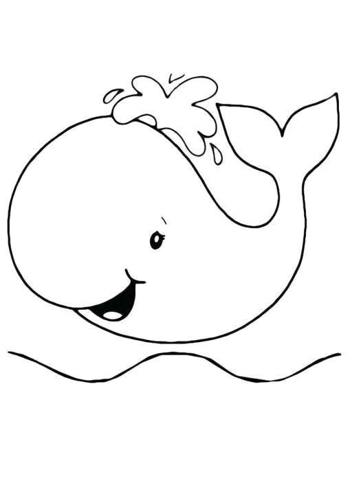 Раскраски киты кит  Китёнок пускает фонтанчик
