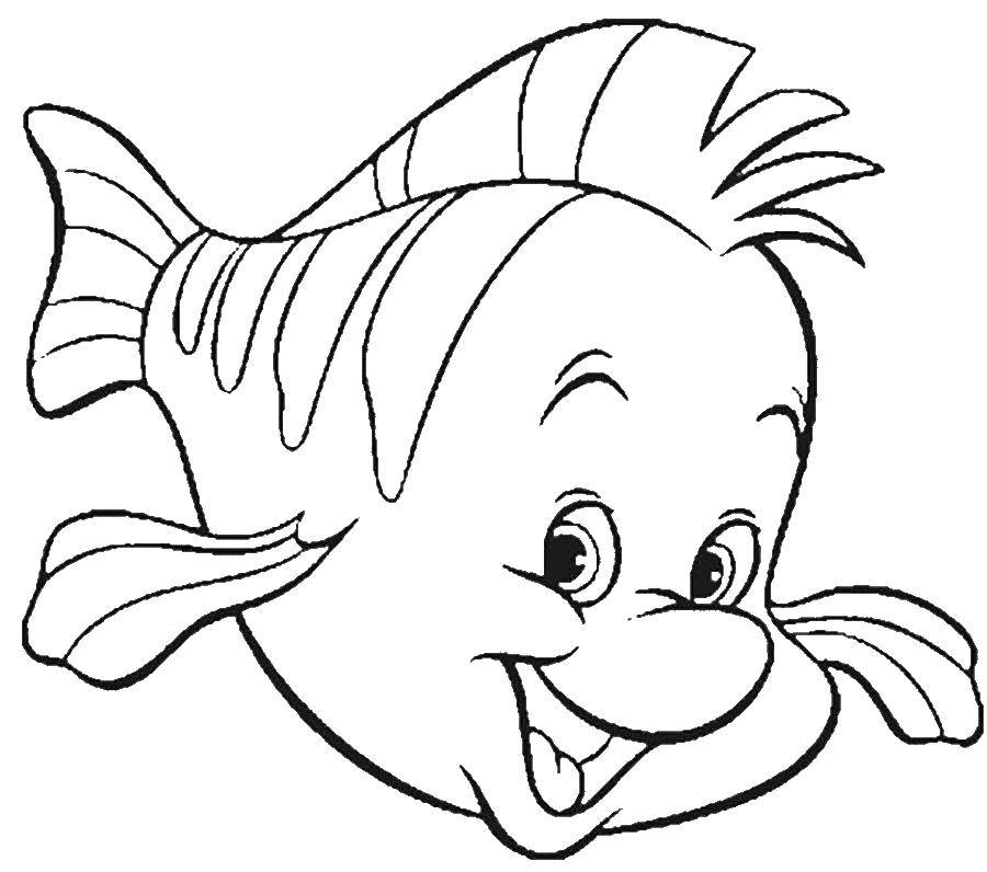 Раскраски по мультфильму русалочка для девочек  Рыбка флаундер