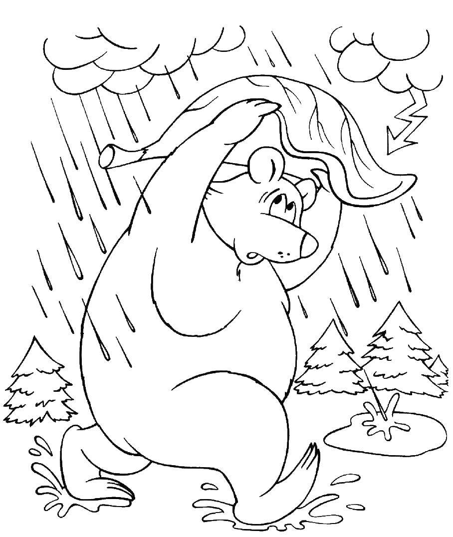 Раскраски природные явления дождь, раскраски дождик для школьников и подростков  Медведь прячется от дождя