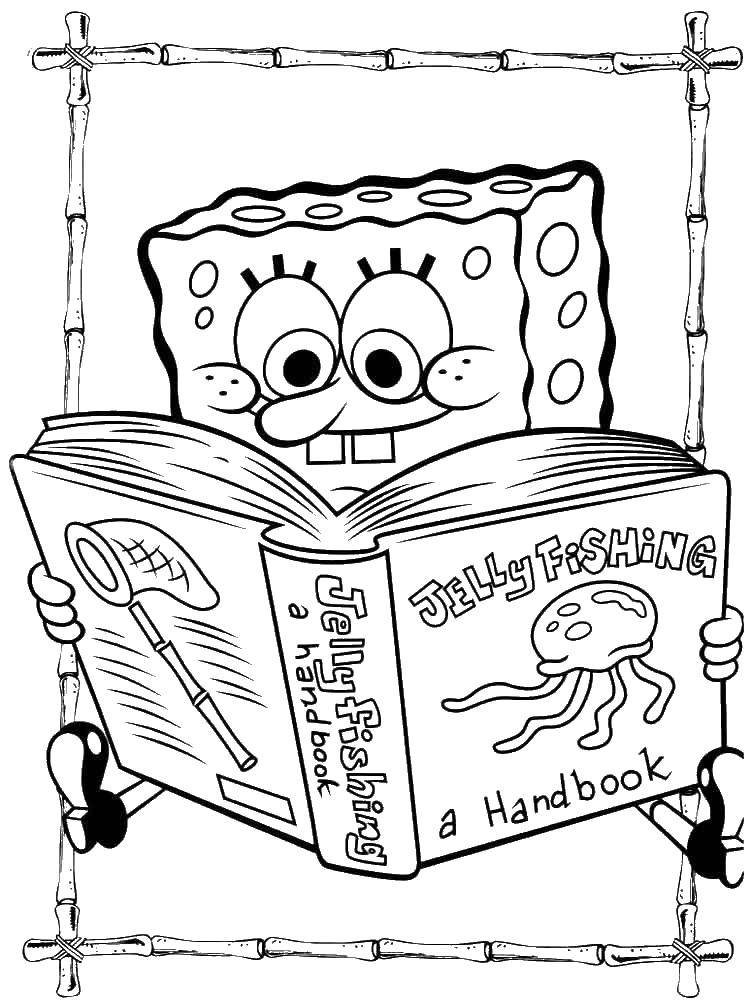 Раскраски Спанч Боб для малышей  Спанч боб читает книгу